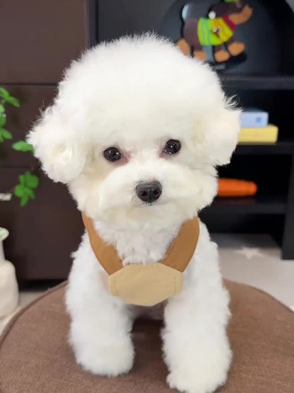 Dog Chest and Back Harness Set Clothes Outdoor with Hat Adjustable Washable Small and Medium Dog Cat Pet Clothes