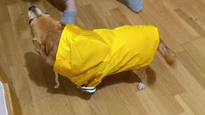 Dog Raincoat Waterproof with Zipper and Hood Adjustable Neck Drawstring